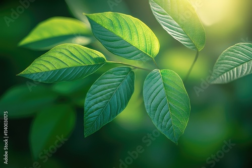 Lush green leaves bathed in sunlight, showcasing vibrant textures and natural beauty. photo