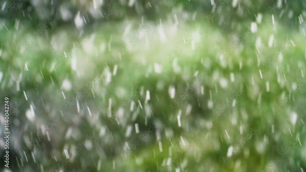 Snowfall outside the window turns the green forest into a majestic landscape of snow-covered trees and white cover. Winter feel: Blizzards and snowfall add atmospheres of cold and winter