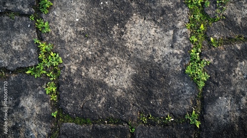 Weathered cement floor with moss and contrasting textured stones, ideal for backgrounds or architectural designs. photo