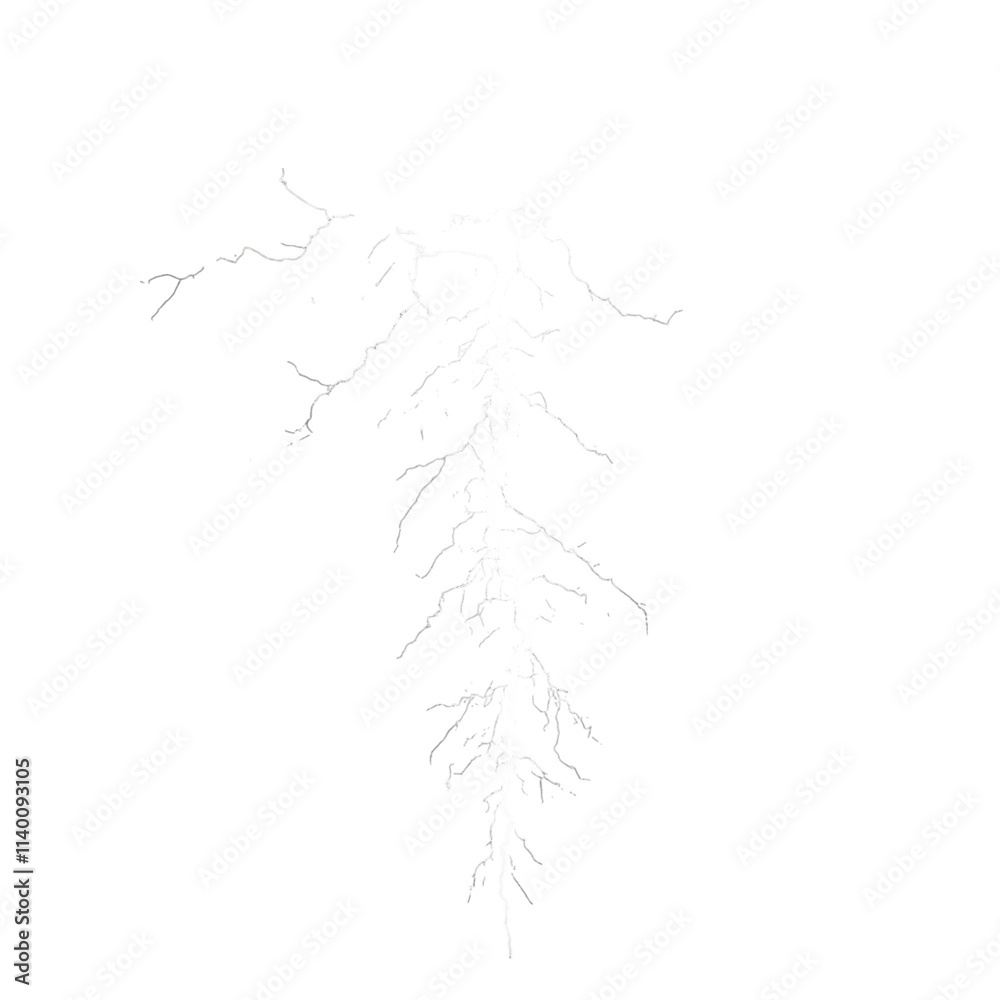 Fototapeta premium Intense electric lines of potokasd thunder a dynamic display of nature's power in the sky