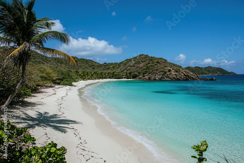 beach with palm trees