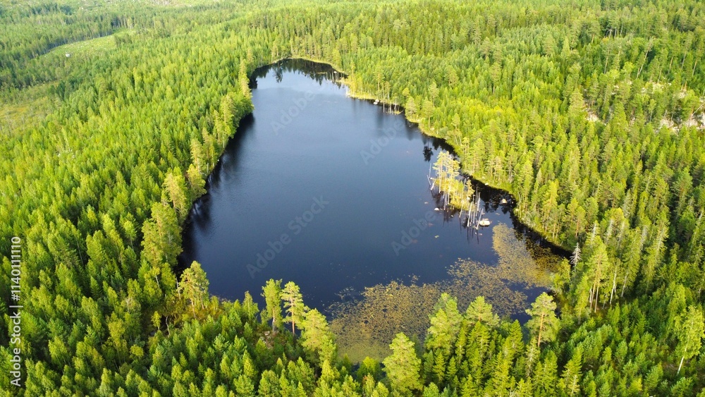 Lake in the middle forest, foto from a drone Lake in the middle forest, foto from a drone