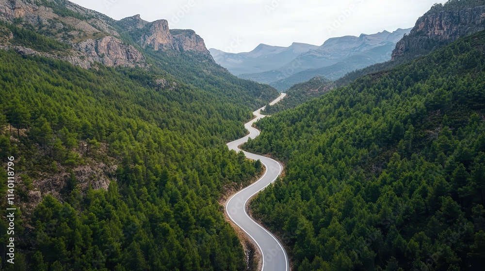 Fototapeta premium Empty Road, narrow winding road in the mountains flanked by dense pine forests and sharp cliffs