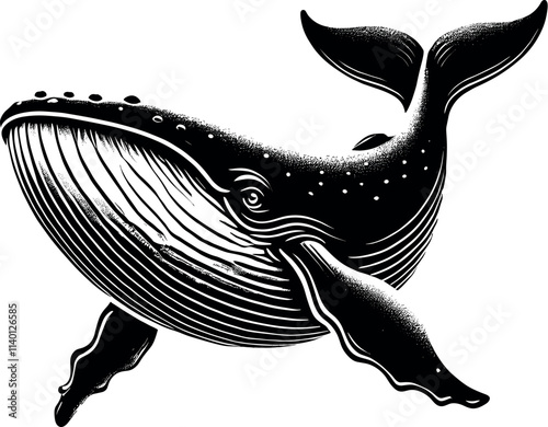 Majestic Whale Vector Black Silhouette Cricut Design for T-Shirt photo