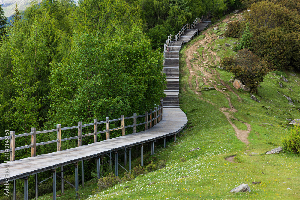 A wooden boardwalk on the hillside of Haizigou in Aba, Sichuan province, China A wooden boardwalk on the hillside of Haizigou in Aba, Sichuan province, China