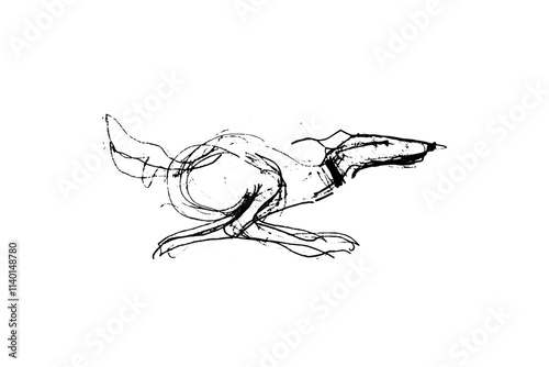 Hunting Sighthound hand-drawn sketches - minimalist ink drawing - Borzoi, hunting sighthound, whippet - linear vector illustrations. Dog breeding business concept.
