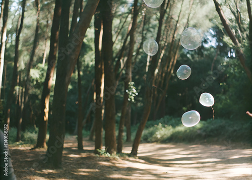 jellyfish in the forest