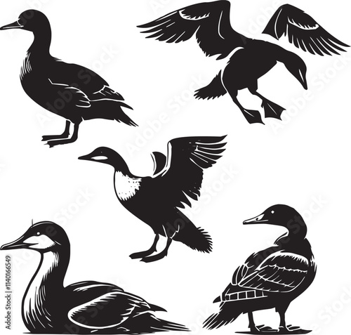 silhouette set of common eider sitting poses black and white , 