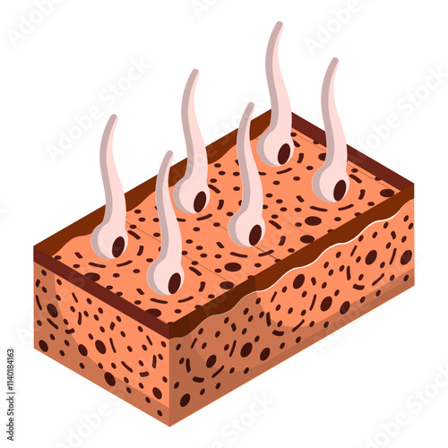 Skin Diseases Of The Scalp isometric concept, Dermatitis and Skin Allergies vector icon design, beauty personal care symbol, cosmetic dermatology sign, body aesthetics stock illustration 