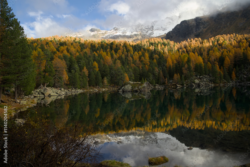 An autumn view of Val da Camp at Lago da Saoseo, Graubünden (Bernina Mountains), with golden larches and a vivid blue sky. An autumn view of Val da Camp at Lago da Saoseo, Graubünden (Bernina Mountains), with golden larches and a vivid blue sky.