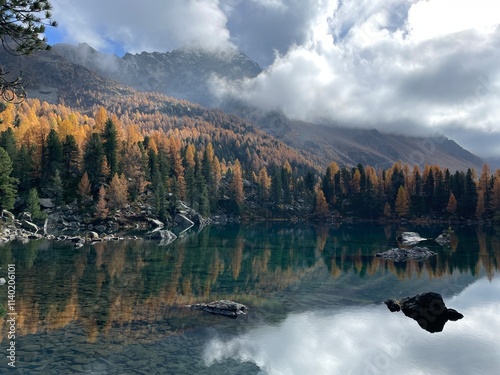 An autumn view of Val da Camp at Lago da Saoseo, Graubünden (Bernina Mountains), with golden larches and a vivid blue sky.