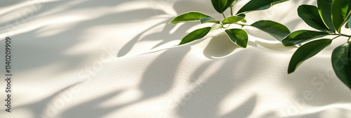 Sfondo bianco con sabbia bianca e piante verdi tropicali accanto. Spazio per immagine testo o messaggio. photo