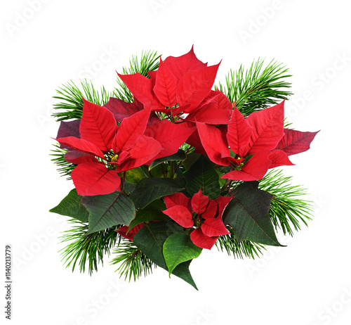 Holiday bouquet of red Poin...