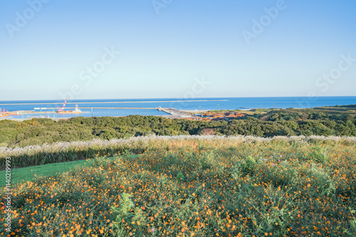 茨城　ひたち海浜公園から望む海 photo