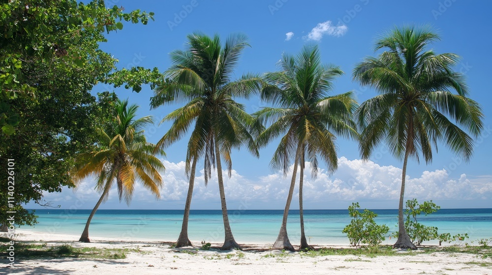 palm trees beach,tropical paradise, swaying palms, beach escape palm trees beach,tropical paradise, swaying palms, beach escape
