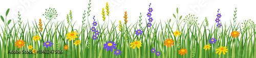 Flowers and grass border, meadow flowers and green grass, vector illustration