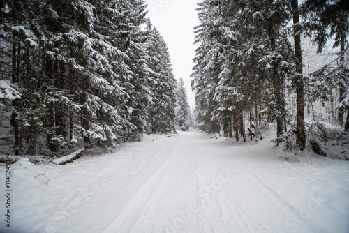 Beautiful winter mountain landscape. Winter landscape with fresh snow in a mountain forest on the path to Kalatowki, Zakopane, Poland. photo