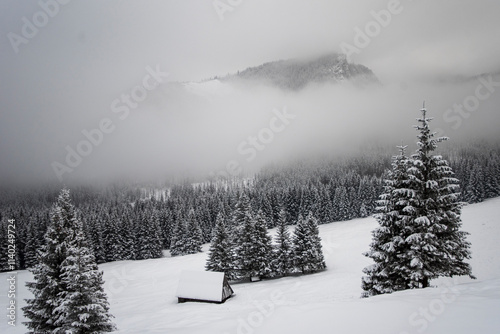 Beautiful winter mountain landscape. Winter landscape with fresh snow in a mountain forest on the path to Kalatowki, Zakopane, Poland. photo