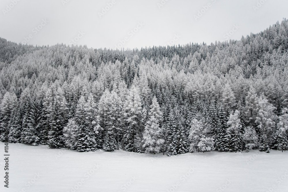 Beautiful winter mountain landscape. Winter landscape with fresh snow in a mountain forest on the path to Kalatowki, Zakopane, Poland. Beautiful winter mountain landscape. Winter landscape with fresh snow in a mountain forest on the path to Kalatowki, Zakopane, Poland.