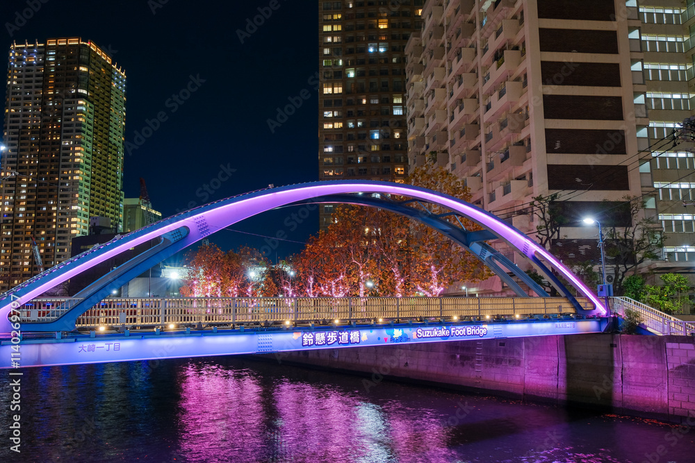 Obraz premium 東京都品川区 目黒川のイルミネーションと鈴懸歩道橋