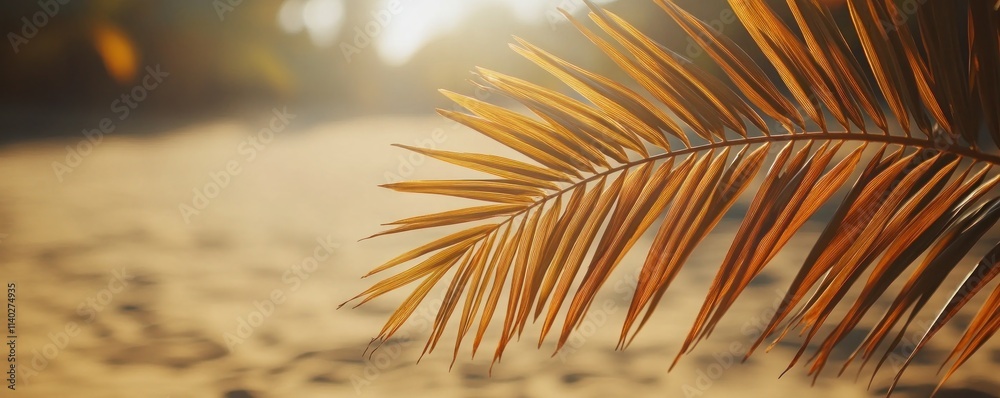 Fototapeta premium Bask in the beauty of radiant golden sunlight casting elegant shadows of palm leaves on a serene beach, a tropical paradise Discover sun-drenched shores, warm breezes, and tranquil escapes This