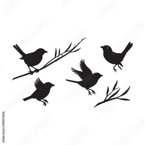 set of vector black bird silhouette