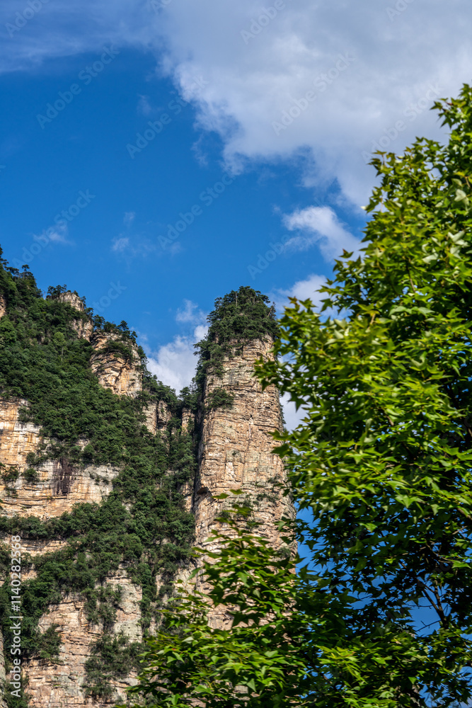 Zhangjiajie scenic area in Hunan Province, China Zhangjiajie scenic area in Hunan Province, China