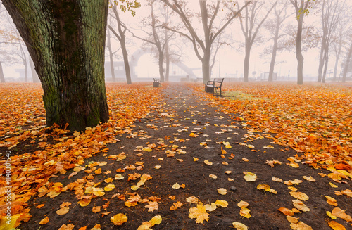 Autumnal foggy morning in a public park of Jurmala - famous tourist resort in...