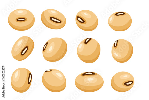 Fresh soybean vector. Isolated on white background.	
