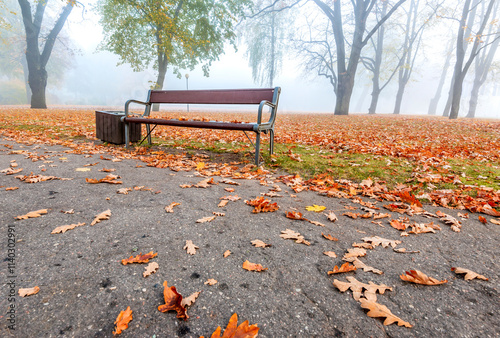 Autumnal foggy morning in a public park of Jurmala - famous tourist resort in...