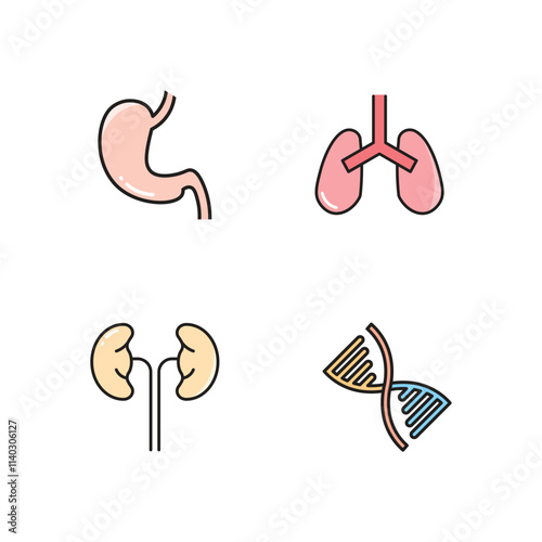 Medical icon design vector symbol set, lungs, kidney, stomach, biochemistry