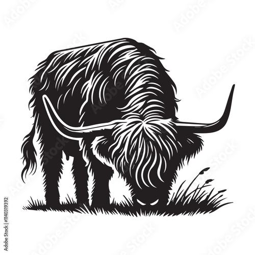 Playful Baby Highland Cow Vector Illustration