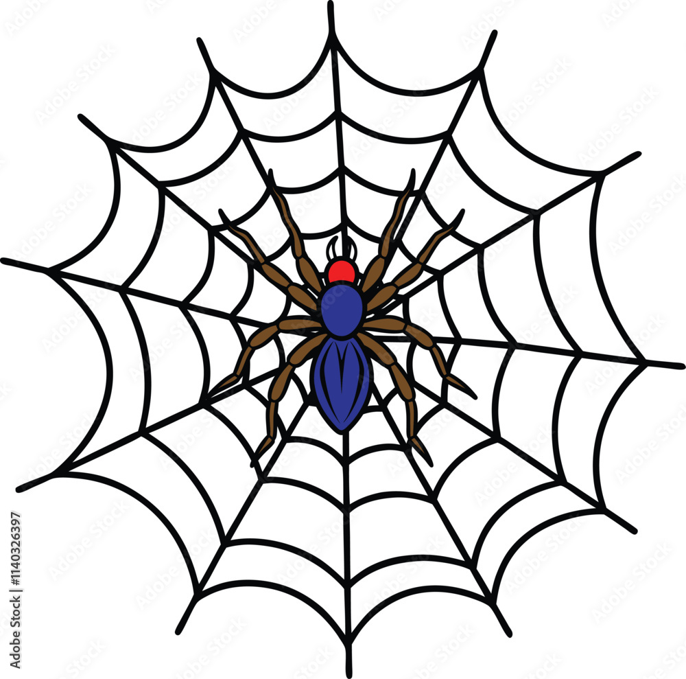 Obraz premium spider on web