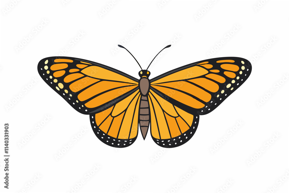 Obraz premium butterfly