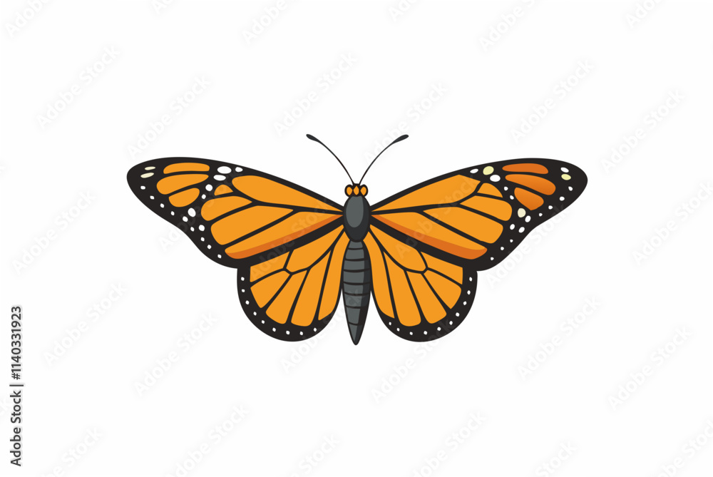 Fototapeta premium butterfly