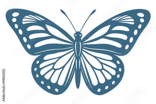 butterfly illustration