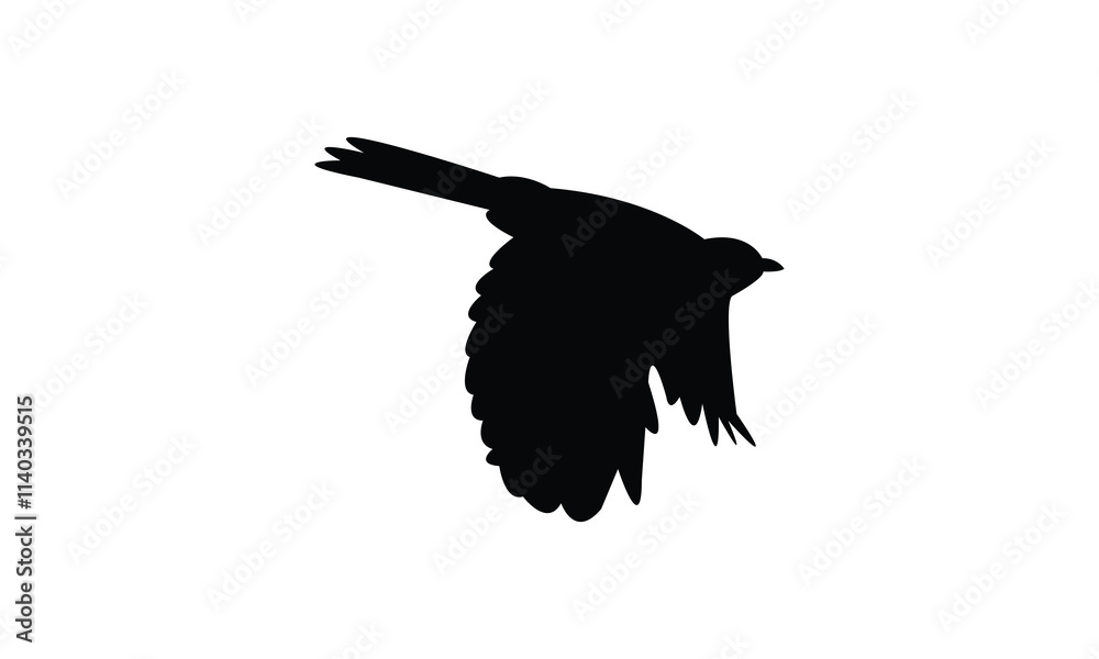 Fototapeta premium Catbird Silhouette Design And Vector Illustration. 