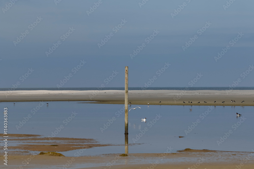 Coastal scene shows calm water, birds, and a sandy beach. A wooden post stands in the shallows. Tranquil coastal scene. Coastal scene shows calm water, birds, and a sandy beach. A wooden post stands in the shallows. Tranquil coastal scene.