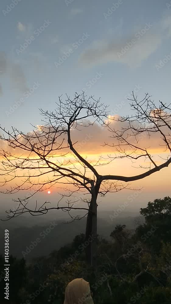 sunset in the mountains nature, tree, morning, dark, sun Video sunset in the mountains nature, tree, morning, dark, sun Video