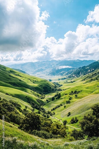 Rolling Green Hills under a Blue Sky