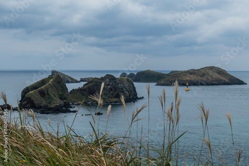 View of Chagwido Island, Jeju Olle Trail, Jeju, South Korea photo