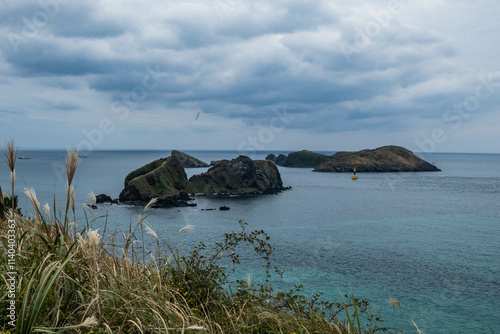 View of Chagwido Island, Jeju Olle Trail, Jeju, South Korea photo