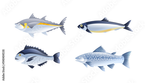 Illustration of sea fish, salmon, herring, dorado, sea bass in realistic 3D style.