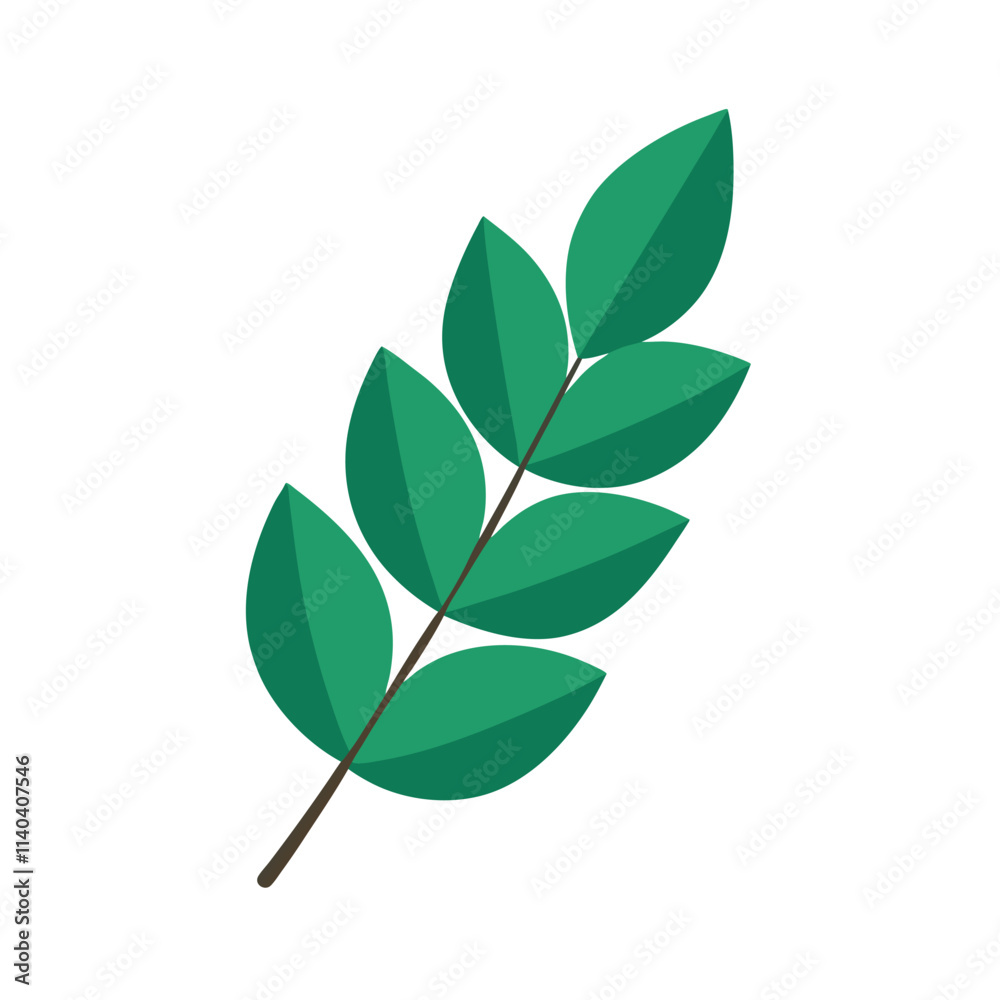 Fototapeta premium eucalyptus-leaf