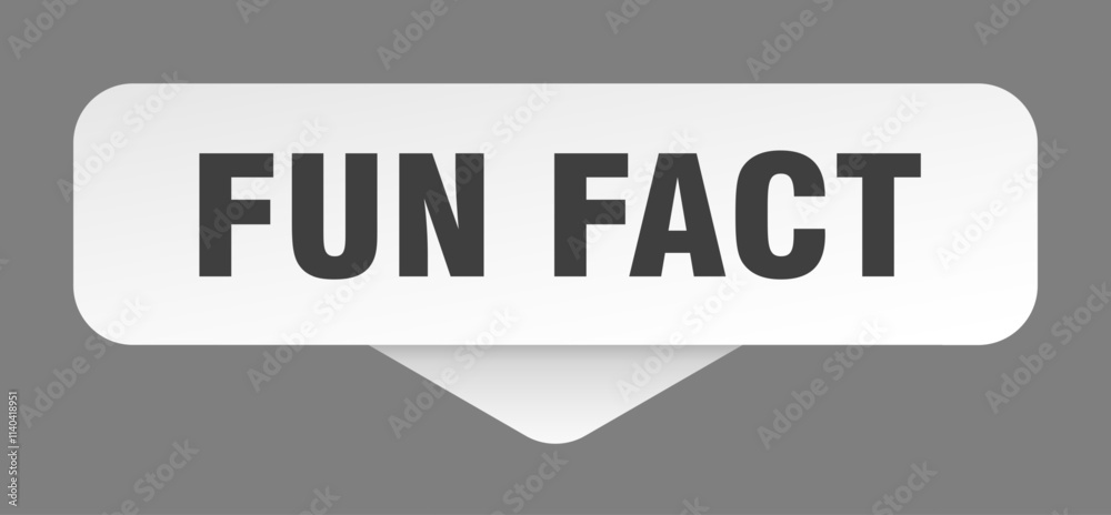 FUN FACT banner on transparent background FUN FACT banner on transparent background