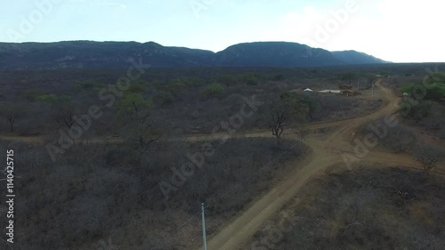 Northeastern backlands in Brazil, caatinga photo