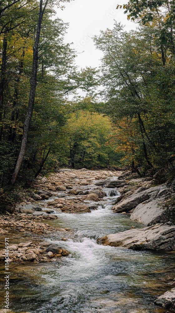 A serene river flowing through a lush forest with autumn foliage. A serene river flowing through a lush forest with autumn foliage.