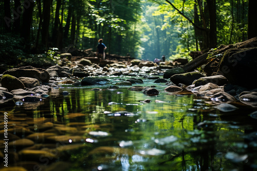 stream in the greeb forest morning  photo