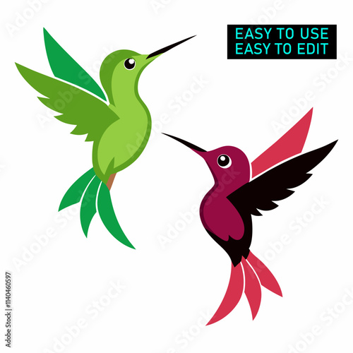  Tow flying hummingbird vector on a white background