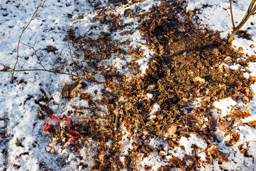 Traces of a search for stashes of illegal substances in the ground, soil dug up by drug addicts and discarded duct tape. Russia photo